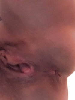 Le mie cagnette in calore