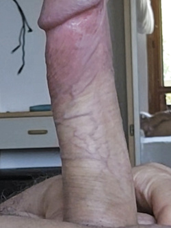 Il mio pene scappellato e rasato