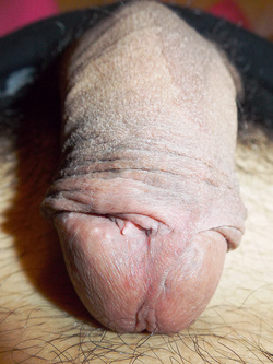 Ho voglia e mi tocco