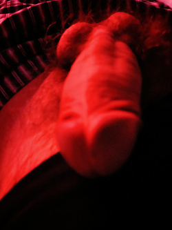 Cazzo in stato di riposo