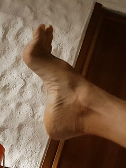 Maurihotfeet