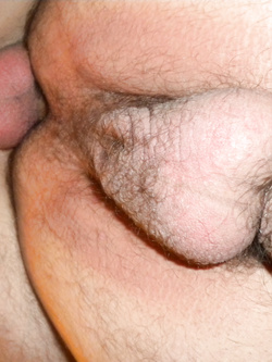 La mia cagna da monta...