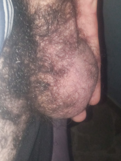 Che voglia di scopare