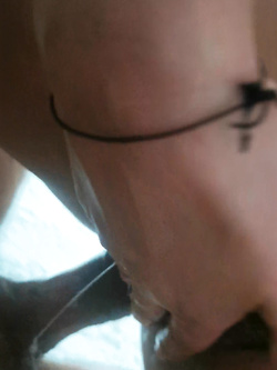 La mia fantastica porca alessia