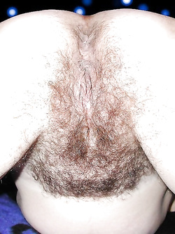 Per gli amanti del pelo Parte 2