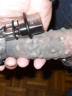 ..mmm, lei mi vuole sempre così!