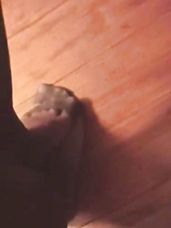 Valeriona la troiona