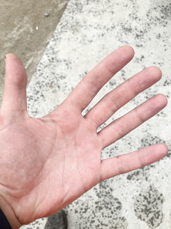 21 anni di cazzo duro