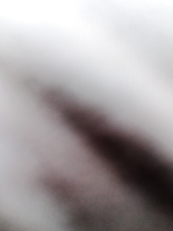 Chi lo vuole Parte 9