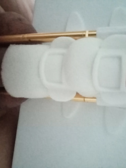 tutti i segni particolari del mio Giacomino