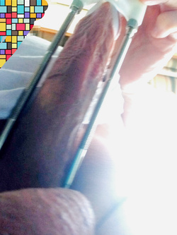 tutti i segni particolari del mio Giacomino