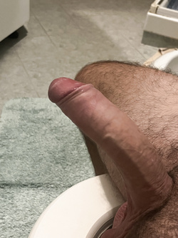 Bull Giovane ????????