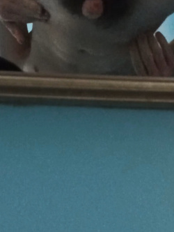 amico gay nello spogliatoio