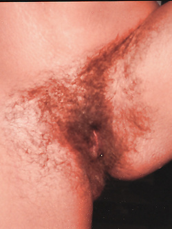 La bellissima fica pelosa