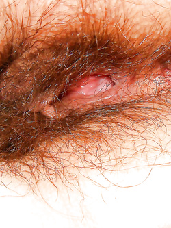 Moglie pelosa amatoriale