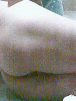 Il terzo diario di una porca....