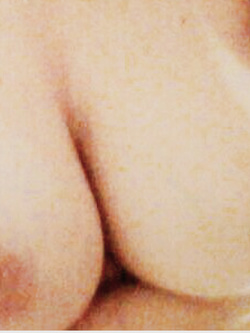 terzo diario di una porca..... .. ..