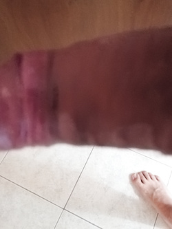 il mio uccello Parte 4