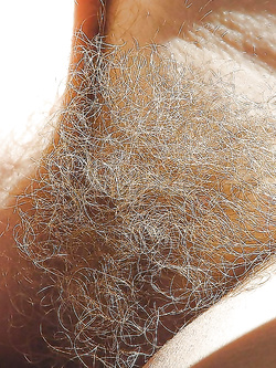 Fiche pelose primi piani