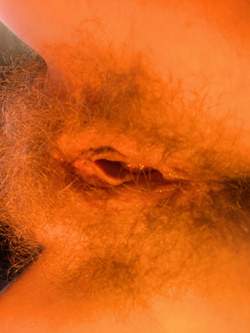 Per gli amanti del pelo come me