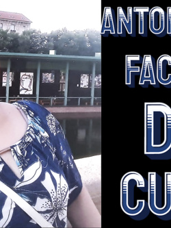 ANTONELLA - INSOSPETTABILE PORCELLONA