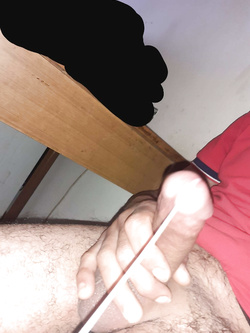 Bull per coppie posso ospitare