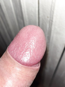 Giovane cazzo foggiano pt.3