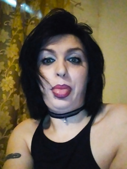 MIKAELA DA CERVIA - VACCA MOLDAVA