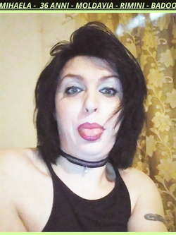 MIKAELA DA CERVIA - VACCA MOLDAVA