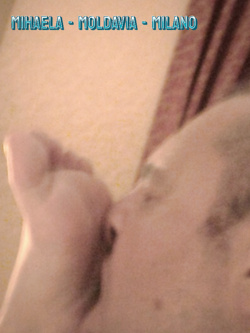 MIKAELA DA CERVIA - VACCA MOLDAVA