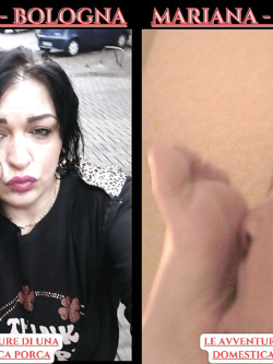 MIKAELA DA CERVIA - VACCA MOLDAVA