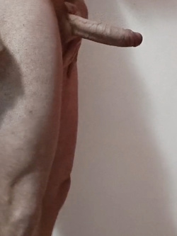 Il mio cazzo per voi. Pareri?