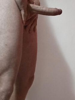 Il mio cazzo per voi. Pareri?