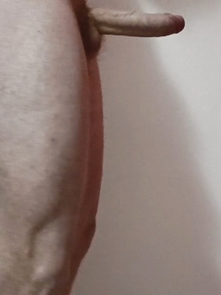 Il mio cazzo per voi. Pareri?