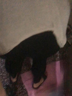 Zia Culona Troiona A Novanta Pt2