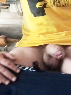 Porco siciliano per cuck lombardi