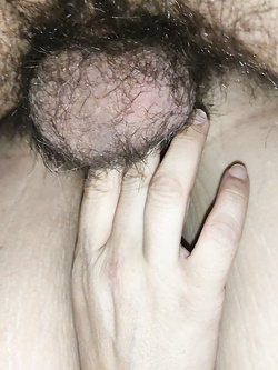 Il bul di mia moglie