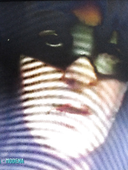 LA PORNO NONNA - MODENA