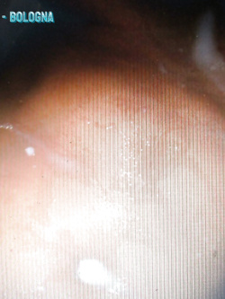 ILONA - LE PERFORMANCE DI UNA SUPER VACCA