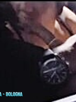 ILONA - LE PERFORMANCE DI UNA SUPER VACCA