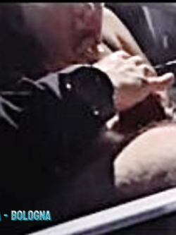 ILONA - LE PERFORMANCE DI UNA SUPER VACCA