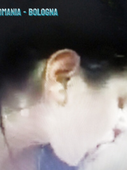 SEQUEL DI VERE MIGNOTTE IN AZIONE