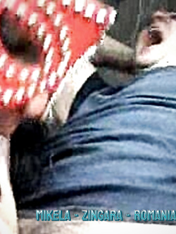 SEQUEL DI VERE MIGNOTTE IN AZIONE