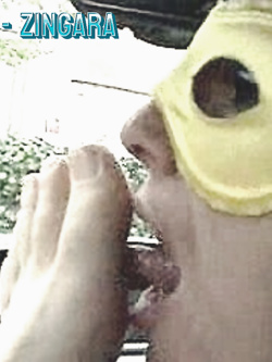 SEQUEL DI VERE MIGNOTTE IN AZIONE