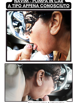 FUCSJA VACCA DEL MAROCCO