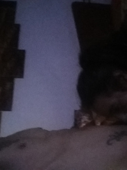 Un piccolo anticipo....????