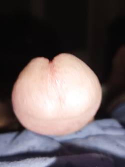 Il buongiorno si vede dal mattino ????