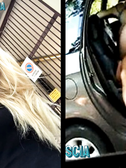 POLA  BIONDA DI BRESCIA