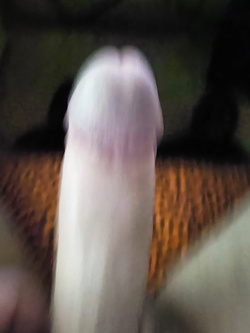 Huge cock tied very tightly with a rope