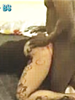 ESIBIZIONI DI COPPIE E SINGOLI